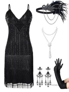 1920s Flapper Sequin Fringe Dress Fancy Dress Party
